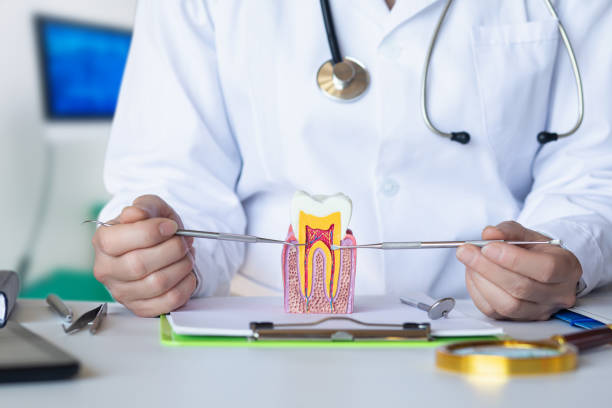 Best Emergency Treatment for Dental Infections or Abscesses in Hartsville, SC